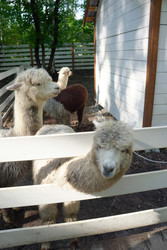 Similar image 22360512