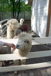 Similar image 22360513