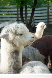 Similar image 22360514