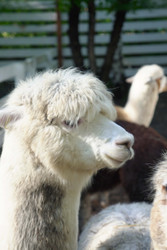 Similar image 22360515