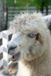 Similar image 22360517