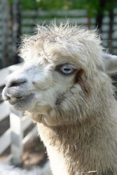 Similar image 22360518