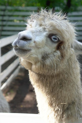 Similar image 22360519