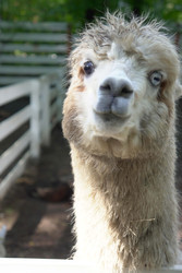 Similar image 22360521