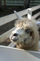 Similar image 22360522