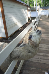 Similar image 22360524