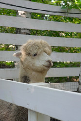 Similar image 22360525