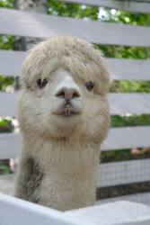 Similar image 22360526