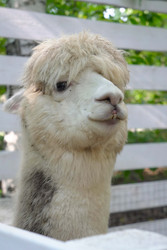 Similar image 22360527