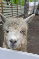 Similar image 22360528