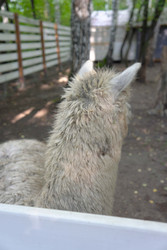 Similar image 22360529