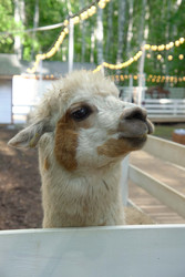 Similar image 22360530