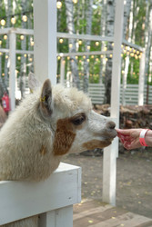 Similar image 22360531