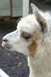 Similar image 22360533