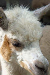 Similar image 22360534