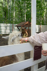 Similar image 22360535