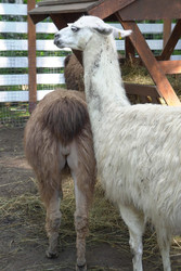 Similar image 22360536