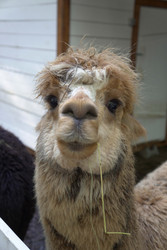 Similar image 22360537