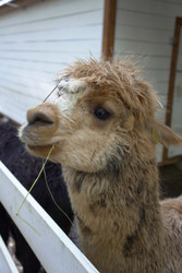 Similar image 22360538