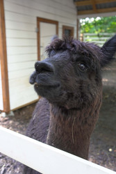 Similar image 22360539