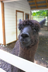 Similar image 22360540