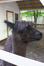 Similar image 22360541