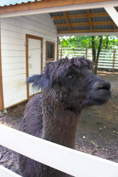 Similar image 22360542