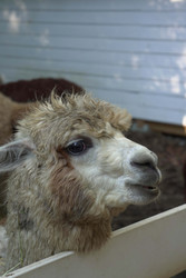 Similar image 22360543