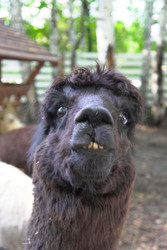 Similar image 22360544