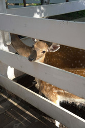 Similar image 22360545