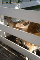 Similar image 22360546