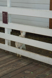 Similar image 22360547