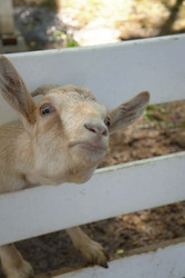 Similar image 22360548