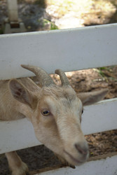 Similar image 22360549