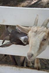 Similar image 22360562