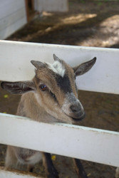 Similar image 22360563