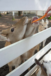 Similar image 22360564