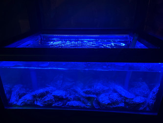 Similar image 22353811