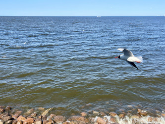 Similar image 22360211