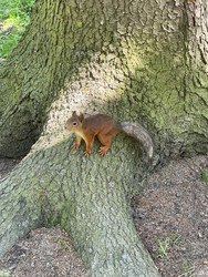 Similar image 22360213