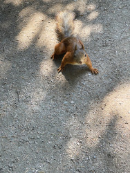 Similar image 22360214