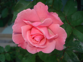 Similar image 22353855