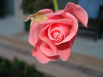 Similar image 22353856