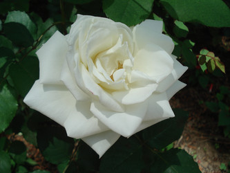 Similar image 22353857