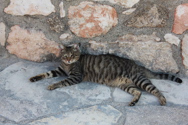 Similar image 22359374