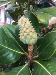 Similar image 22359378