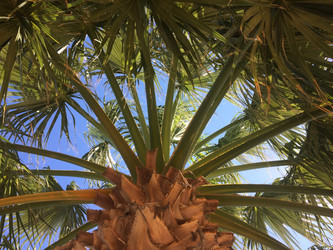 Similar image 22359380