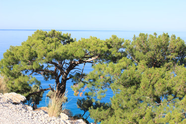 Similar image 22357092