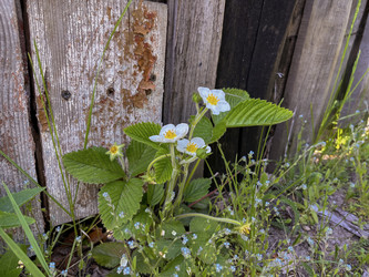 Similar image 22353813