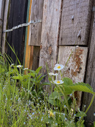 Similar image 22353814